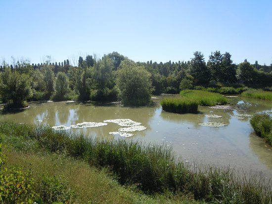 Parc départemental du Sausset